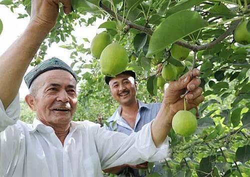 新疆，多元文化交融的和谐共生之地